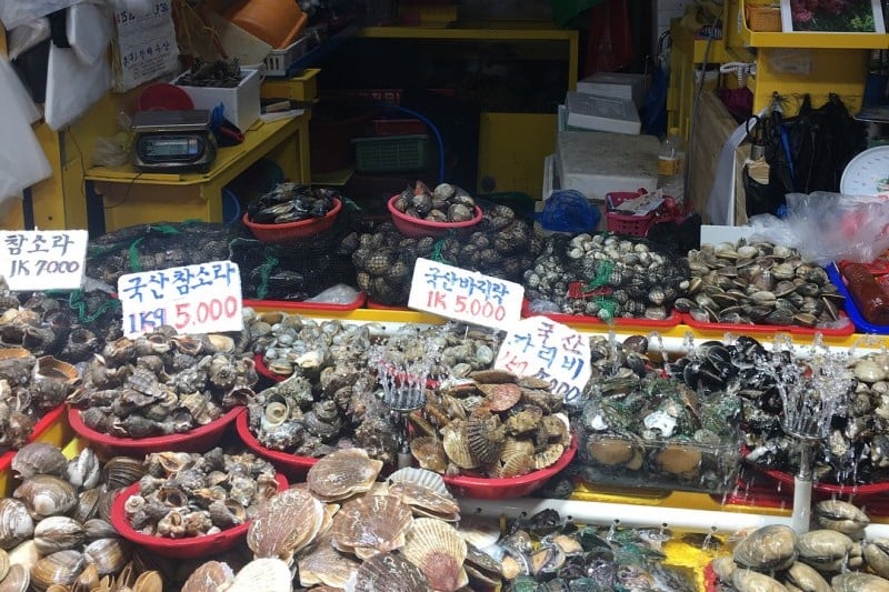 Incheon Complex Fish Market (4/11)