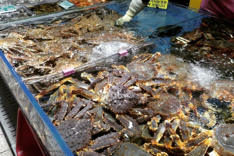 Incheon Complex Fish Market (7/11)