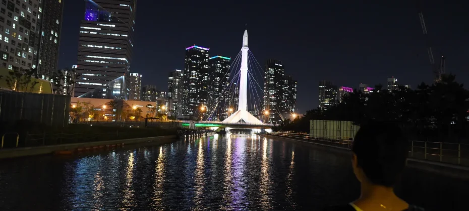 Fantastic Incheon Night View Tour(Songdo Central Park) (8/51)
