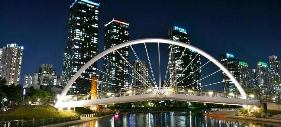 Fantastic Incheon Night View Tour(Songdo Central Park) (9/51)