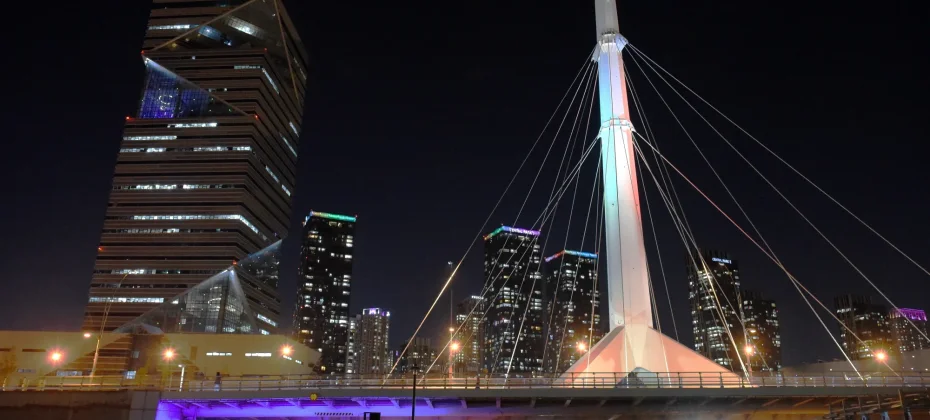 Fantastic Incheon Night View Tour(Songdo Central Park) (11/51)