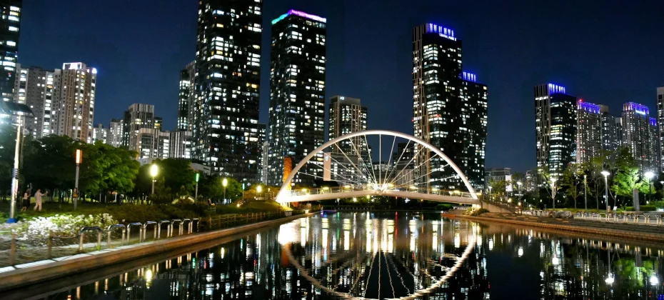 Fantastic Incheon Night View Tour(Songdo Central Park) (12/51)