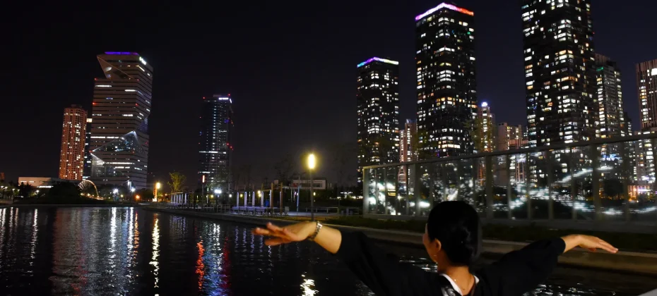 Fantastic Incheon Night View Tour(Songdo Central Park) (26/51)