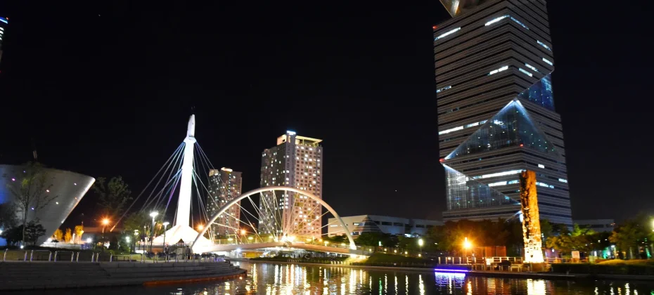 Fantastic Incheon Night View Tour(Songdo Central Park) (28/51)