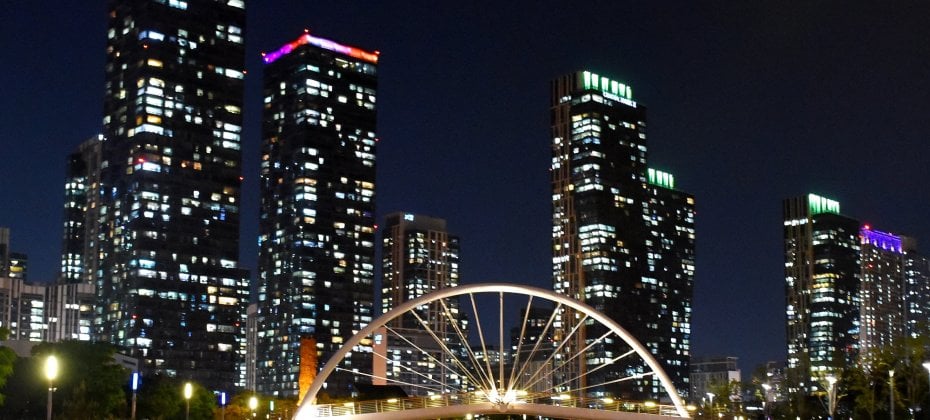 Fantastic Incheon Night View Tour(Songdo Central Park) (31/51)
