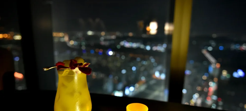 Fantastic Incheon Night View Tour(Songdo Central Park) (41/51)