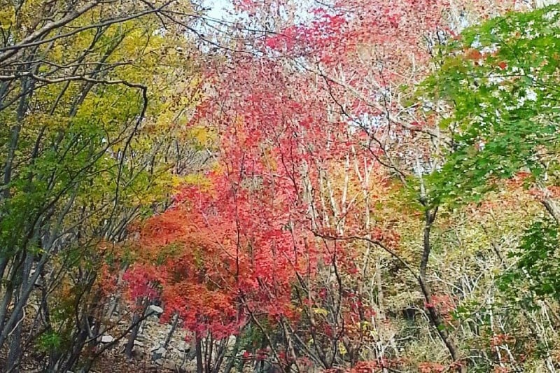 Gajisan Provincial Park  (2/3)