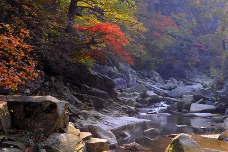 Hongryudong Valley  (2/6)