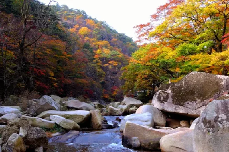 Hongryudong Valley  (5/6)