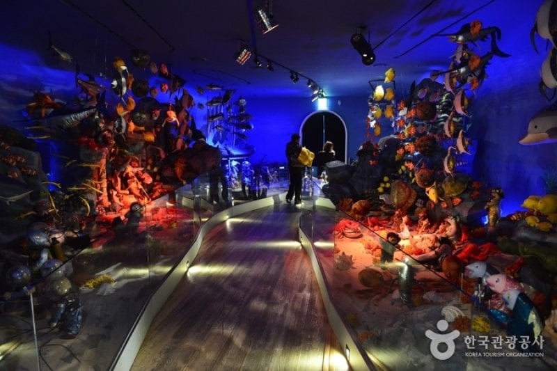 Gyeongju Teddy Bear Museum  (1/5)