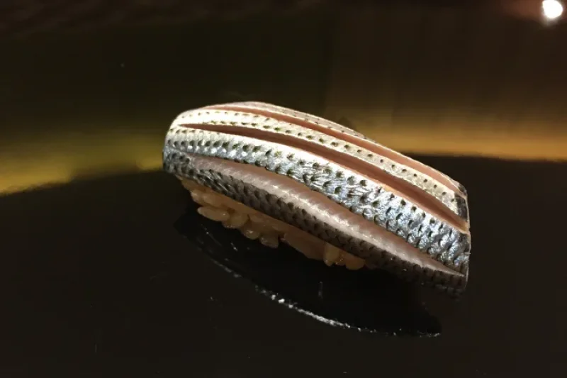 Sushi Kaisin  (4/6)