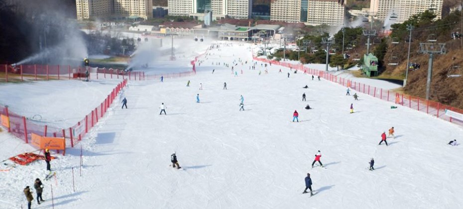 VIVALDI PARK ONE DAY SKI TOUR / shuttle service (7/36)