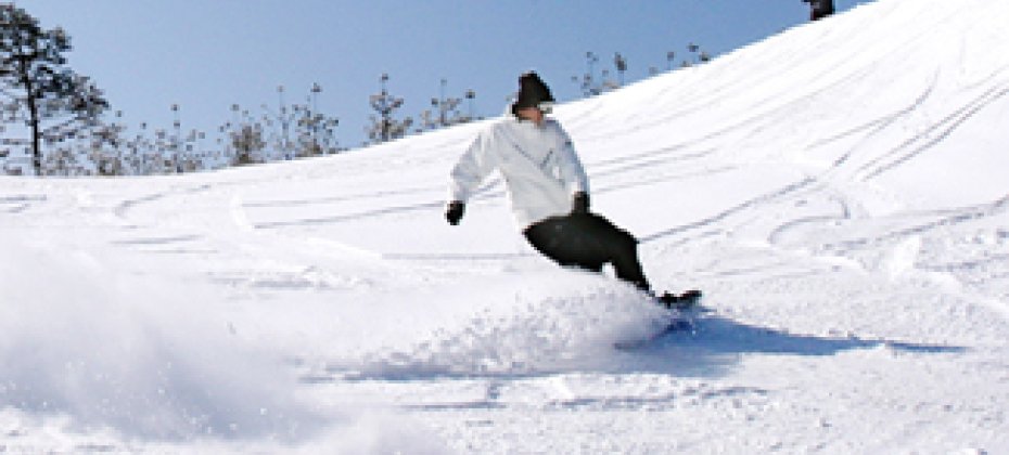VIVALDI PARK ONE DAY SKI TOUR / shuttle service (10/36)