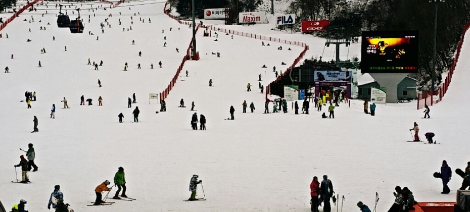 VIVALDI PARK ONE DAY SKI TOUR / shuttle service (15/36)