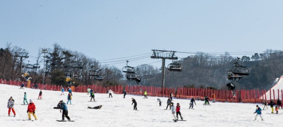 VIVALDI PARK ONE DAY SKI TOUR / shuttle service (23/36)