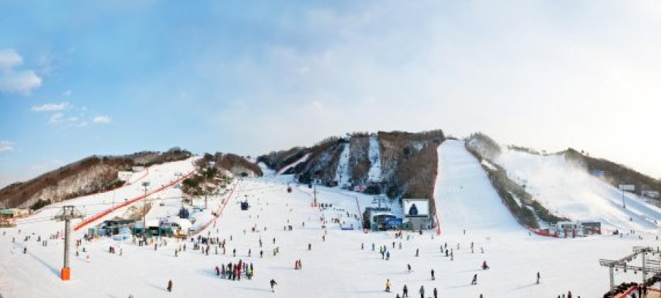 VIVALDI PARK ONE DAY SKI TOUR / shuttle service (25/36)