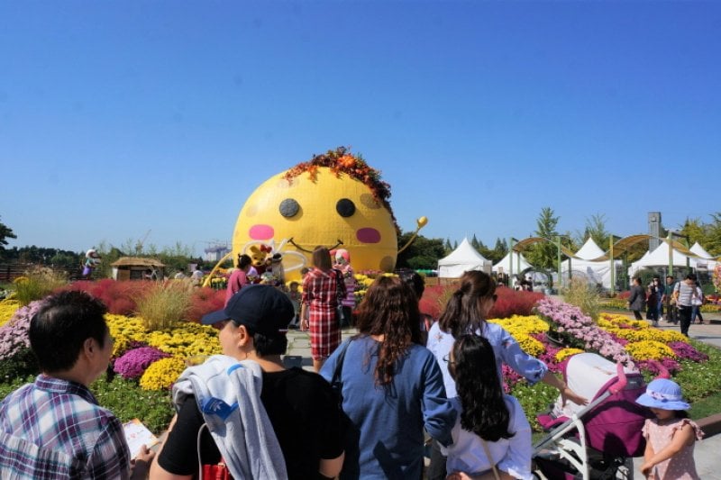 Goyang Autumn Flower Festival (고양가을꽃축제 2018) (4/11)