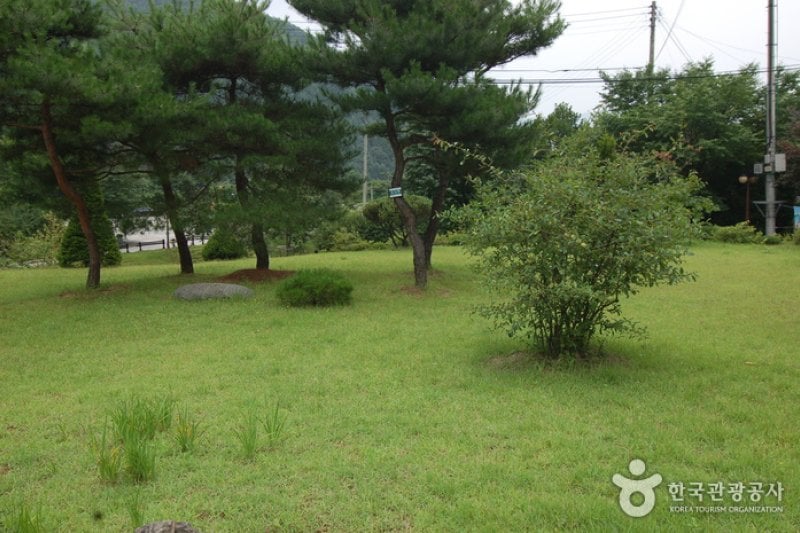 Garisan Natural Recreation Forest (가리산자연휴양림) (3/22)