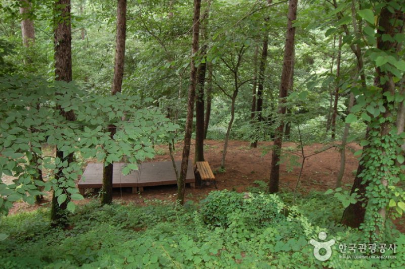 Garisan Natural Recreation Forest (가리산자연휴양림) (4/22)