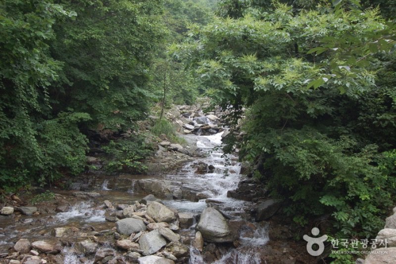 Garisan Natural Recreation Forest (가리산자연휴양림) (5/22)