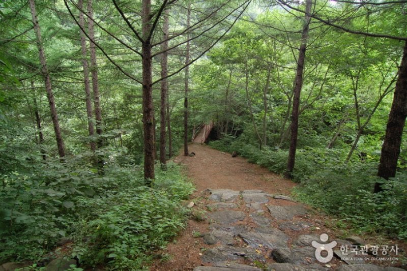 Garisan Natural Recreation Forest (가리산자연휴양림) (6/22)