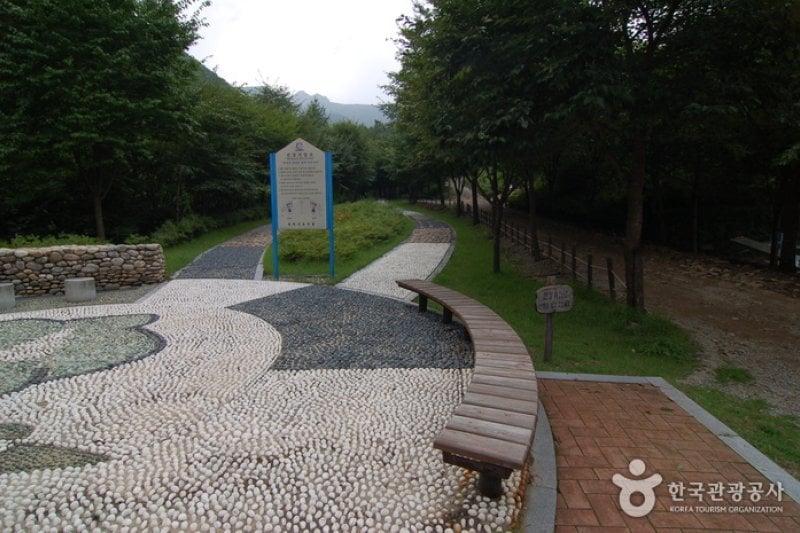 Garisan Natural Recreation Forest (가리산자연휴양림) (9/22)