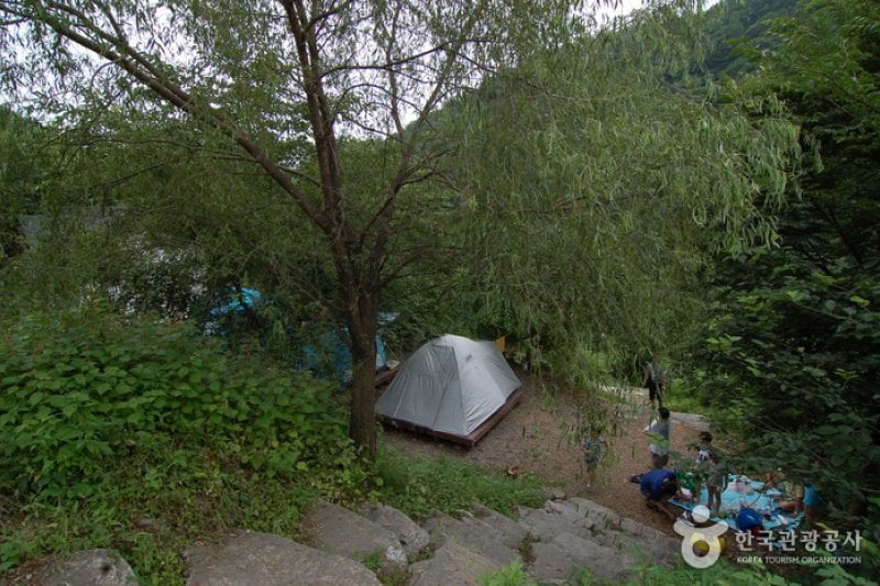 Garisan Natural Recreation Forest (가리산자연휴양림) (12/22)