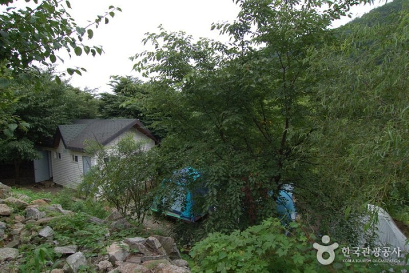 Garisan Natural Recreation Forest (가리산자연휴양림) (13/22)