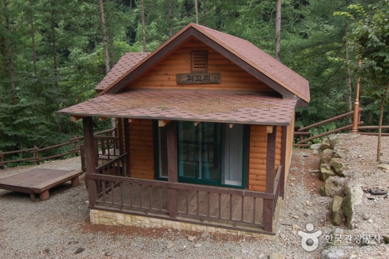 Garisan Natural Recreation Forest (가리산자연휴양림) (22/22)