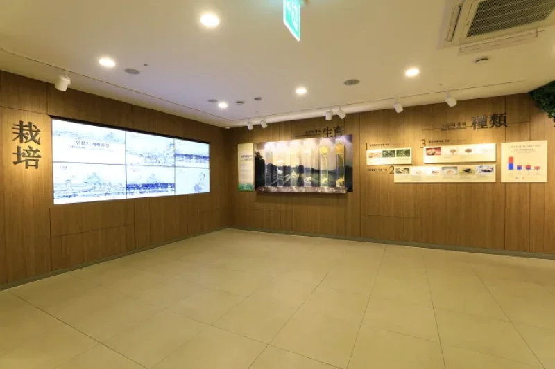 Cheongha Korea Ginseng Co., Ltd.(청하고려인삼) (13/27)