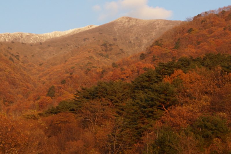 Jirisan-gil Sansuyu Village (지리산길 산수유마을) (3/11)