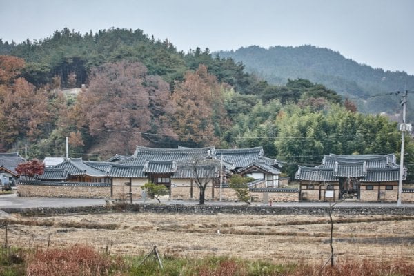 The Head House of Jeong On (정온선생종택)[한국관광품질인증/Korea Quality]