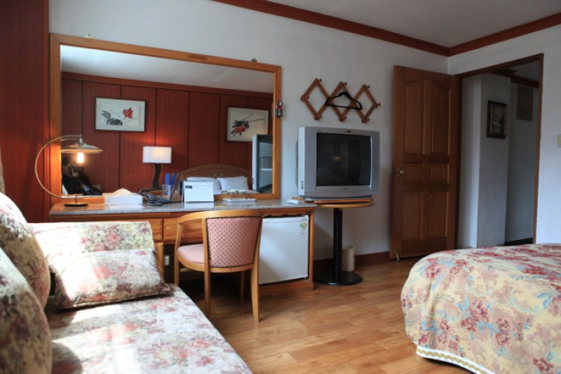 Backam Springs Hotel (백암스프링스호텔)[한국관광품질인증제/ Korea Quality] (6/31)