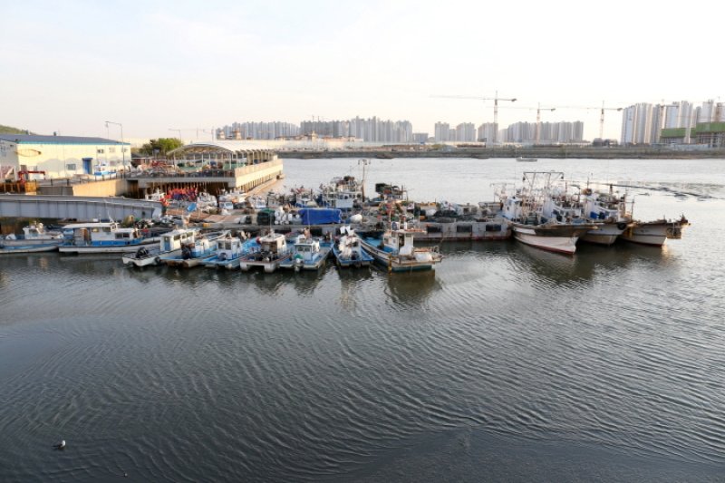 Wolgot Harbor (월곶포구) (8/13)
