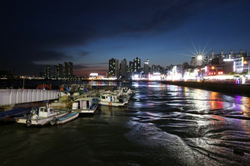 Wolgot Harbor (월곶포구) (11/13)