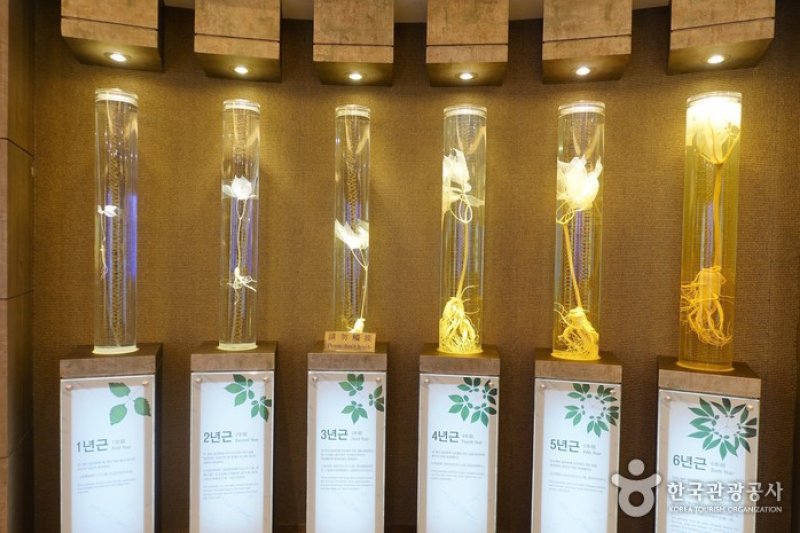 Hwachang Co., Ltd. (Korean Ginseng) (화창토산주식회사(한국고려인삼)) [한국관광품질인증/Korea Quality]