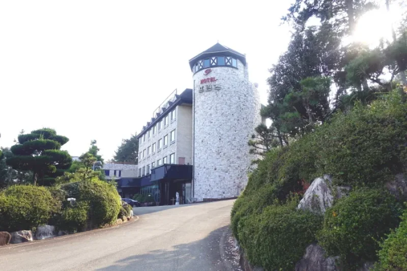 Prince Hotel  (18/49)