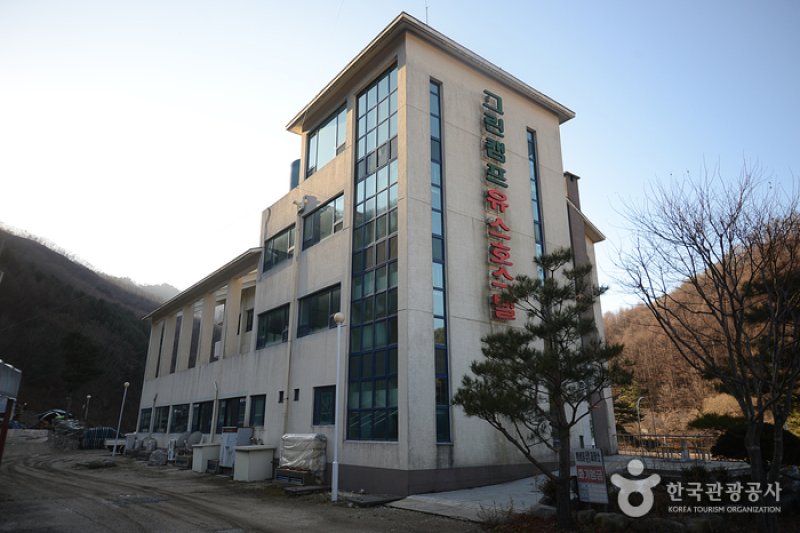 Greencamp (린캠프유스호스텔) (1/5)
