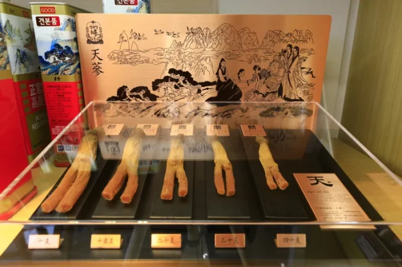 CheongKwanJang Myeong-dong Main Store (한국인삼공사 정관장 명동본점) (17/23)