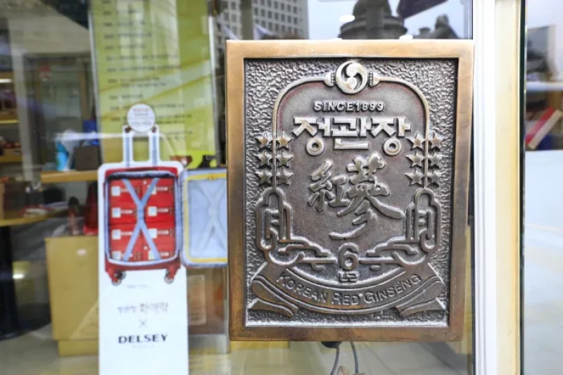 CheongKwanJang Myeong-dong Main Store (한국인삼공사 정관장 명동본점) (22/23)