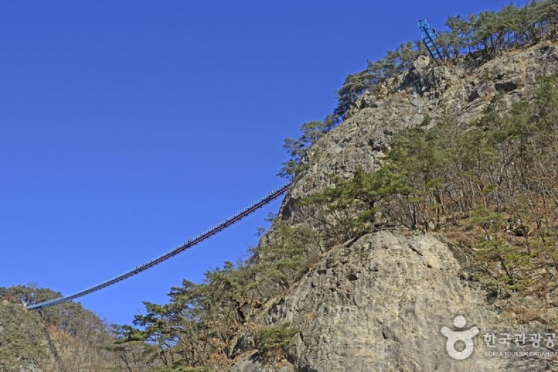 Wonju Sogeumsan Mountain Suspension Bridge  (6/23)
