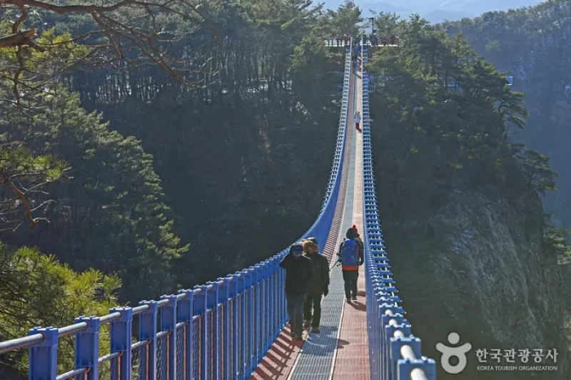 Wonju Sogeumsan Mountain Suspension Bridge  (9/23)