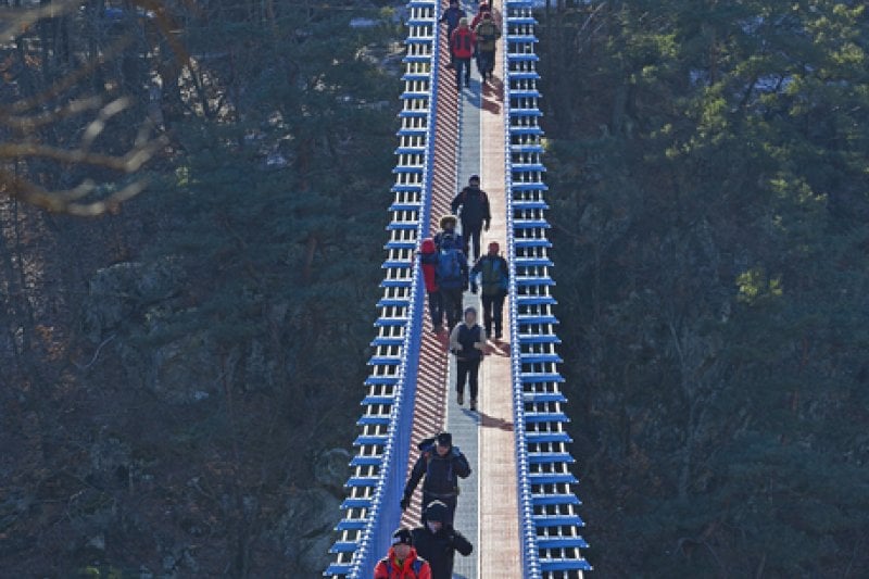 Wonju Sogeumsan Mountain Suspension Bridge  (11/23)