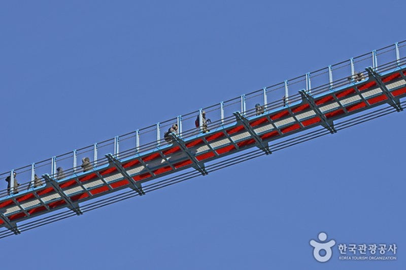 Wonju Sogeumsan Mountain Suspension Bridge  (13/23)