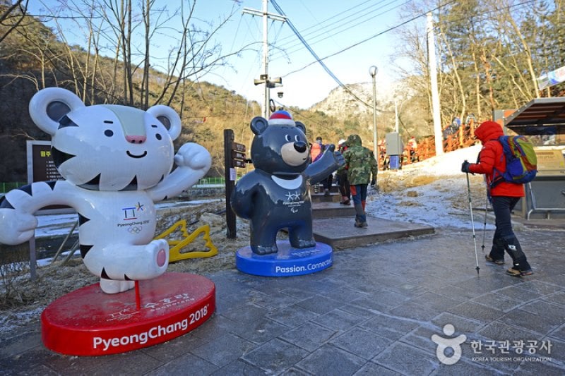 Wonju Sogeumsan Mountain Suspension Bridge  (14/23)