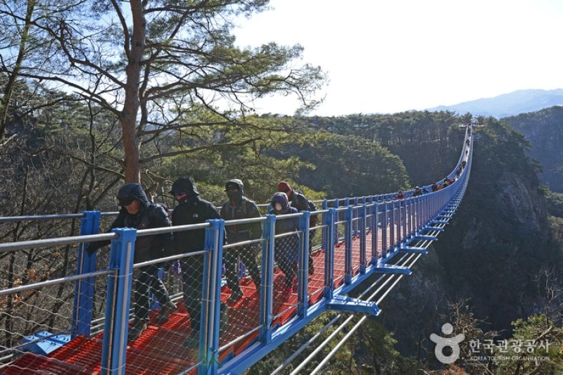 Wonju Sogeumsan Mountain Suspension Bridge  (15/23)