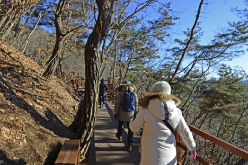 Wonju Sogeumsan Mountain Suspension Bridge  (16/23)