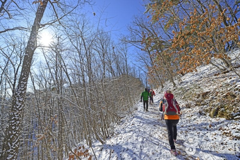 Wonju Sogeumsan Mountain Suspension Bridge  (19/23)
