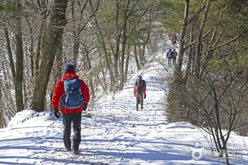 Wonju Sogeumsan Mountain Suspension Bridge  (21/23)