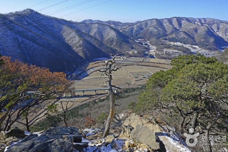 Wonju Sogeumsan Mountain Suspension Bridge  (23/23)